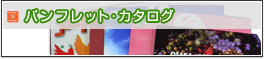 �p���t���b�g�E�J�^���O����肽����